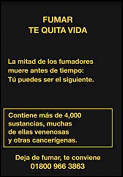 Mexico 2009 Health Effects death - lived experience,  die younger, targets parents (Back)